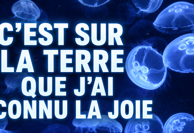 SDLive – Un Joyau de cinéma en direct ? C’est ce soir, on regarde un film ensemble